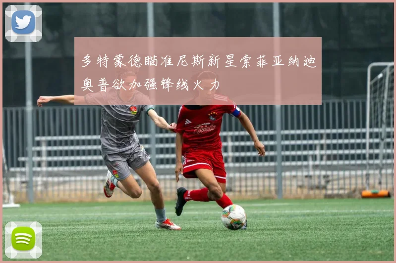 多特蒙德瞄准尼斯新星索菲亚纳迪奥普欲加强锋线火力