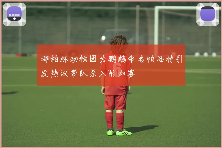 都柏林动物园为鹦鹉命名帕洛特引发热议带队杀入附加赛