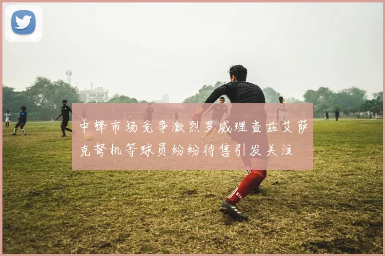 中锋市场竞争激烈罗威理查兹艾萨克弩机等球员纷纷待售引发关注