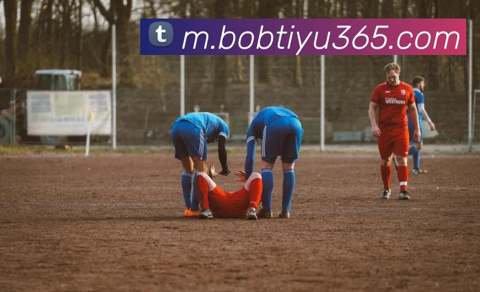 BOB体育平台生态图