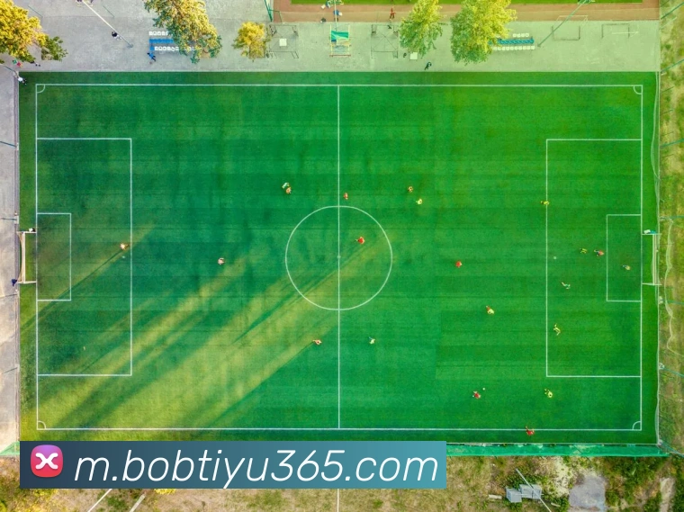 BOB体育APP 封面图